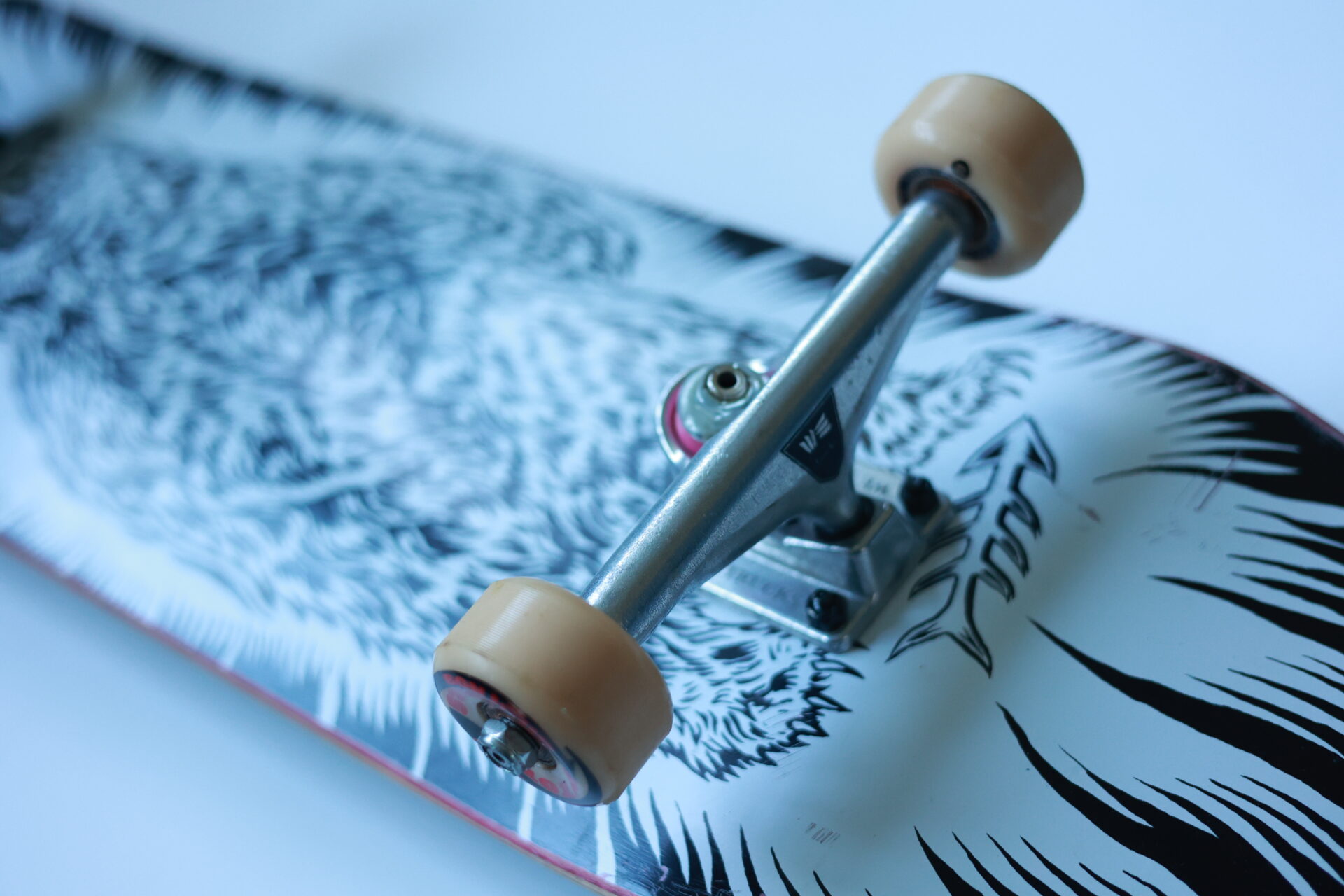 Bear Complete - Afbeelding 3